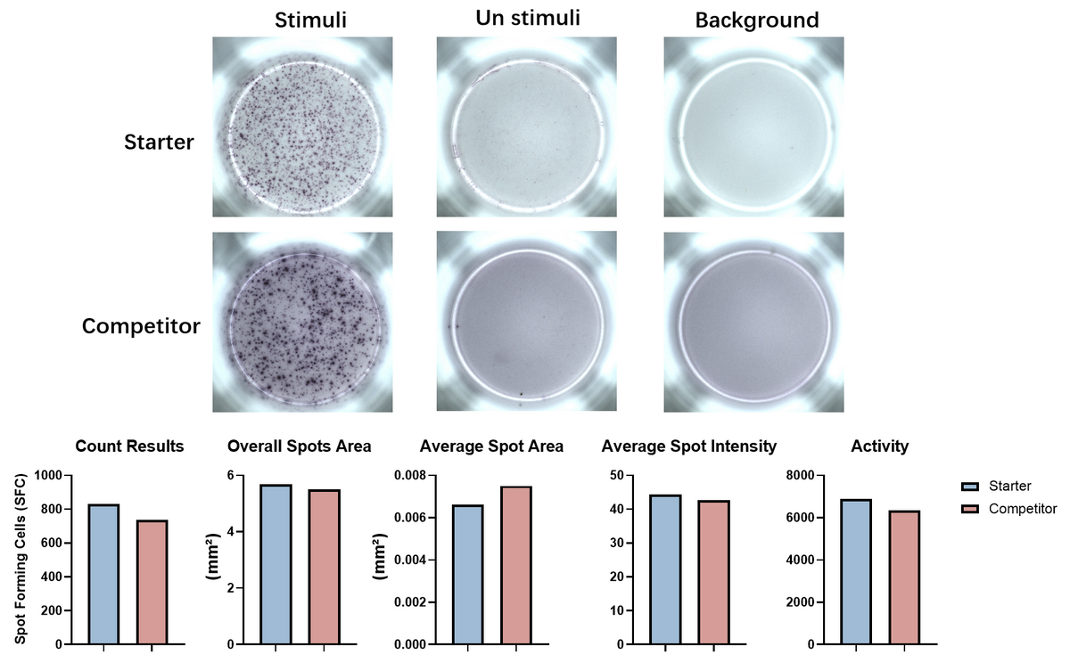 StepSlim Human IFN-γ(ALP)plus ELISpot Kit