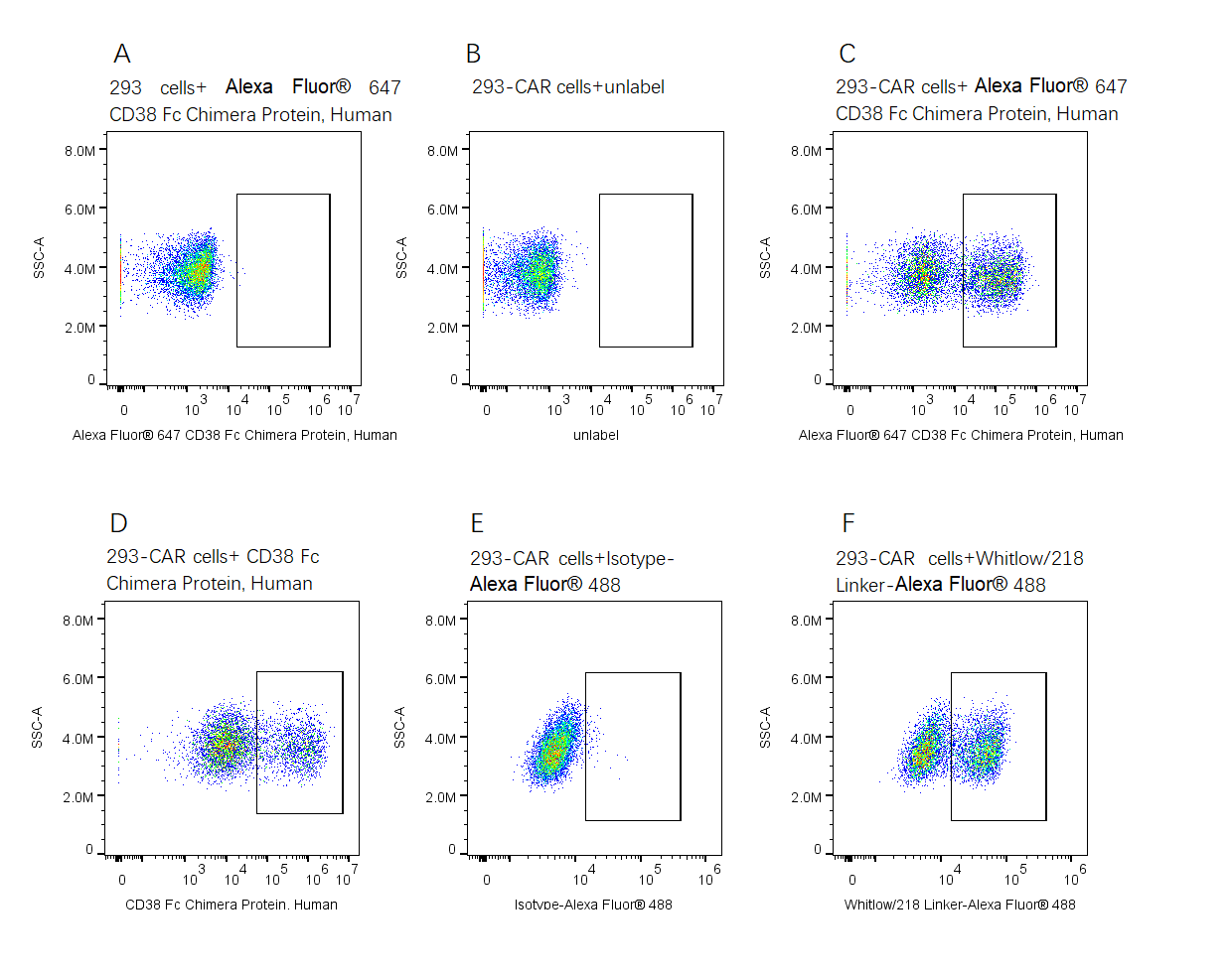 Alexa Fluor 647-Labeled CD38 Fc Chimera Protein, Human