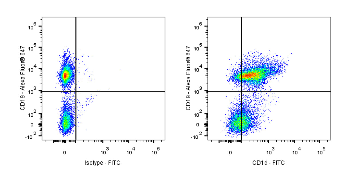 FITC Rat Anti-Mouse CD1d Antibody (1B1)