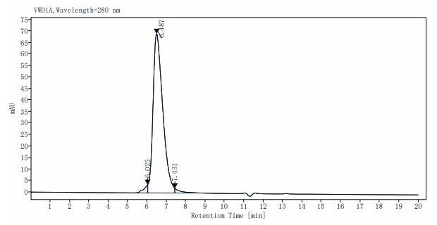 B7-H3/CD276 Fc Chimera Protein, Mouse