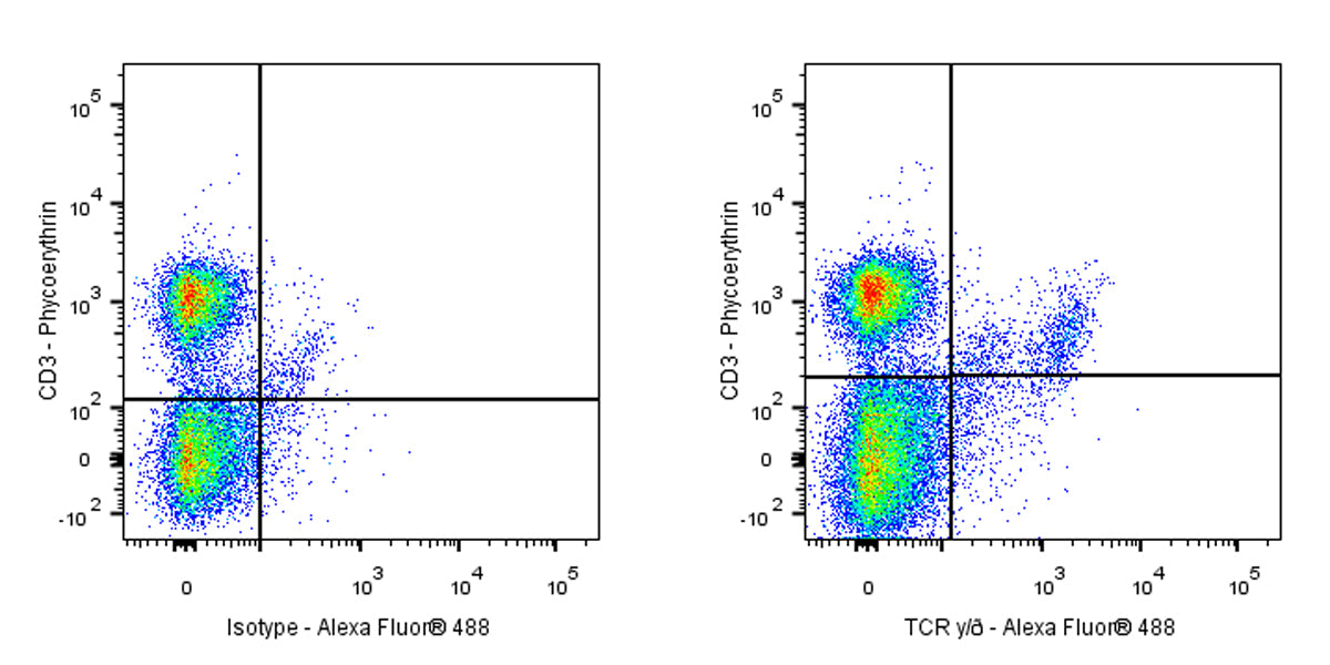 Mouse Anti-Rat TCR γ/δ Antibody (V65)