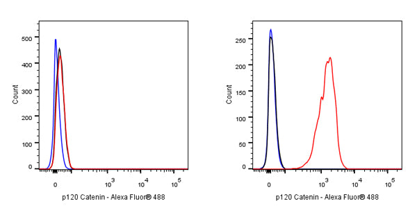 p120 Catenin Recombinant Rabbit mAb (SDT-350-75)