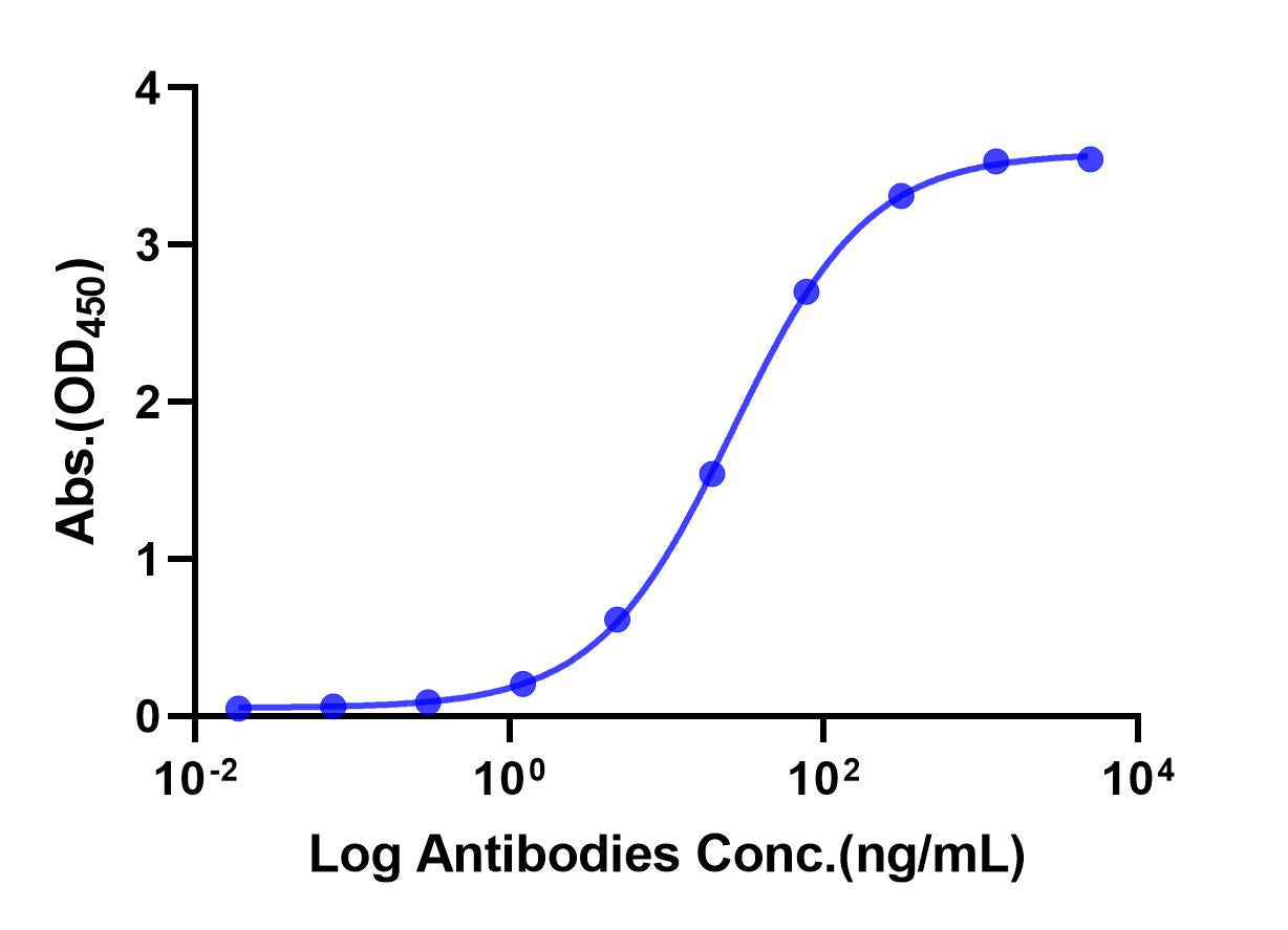 Anti-VEGF Monoclonal Antibody(Bevacizumab)