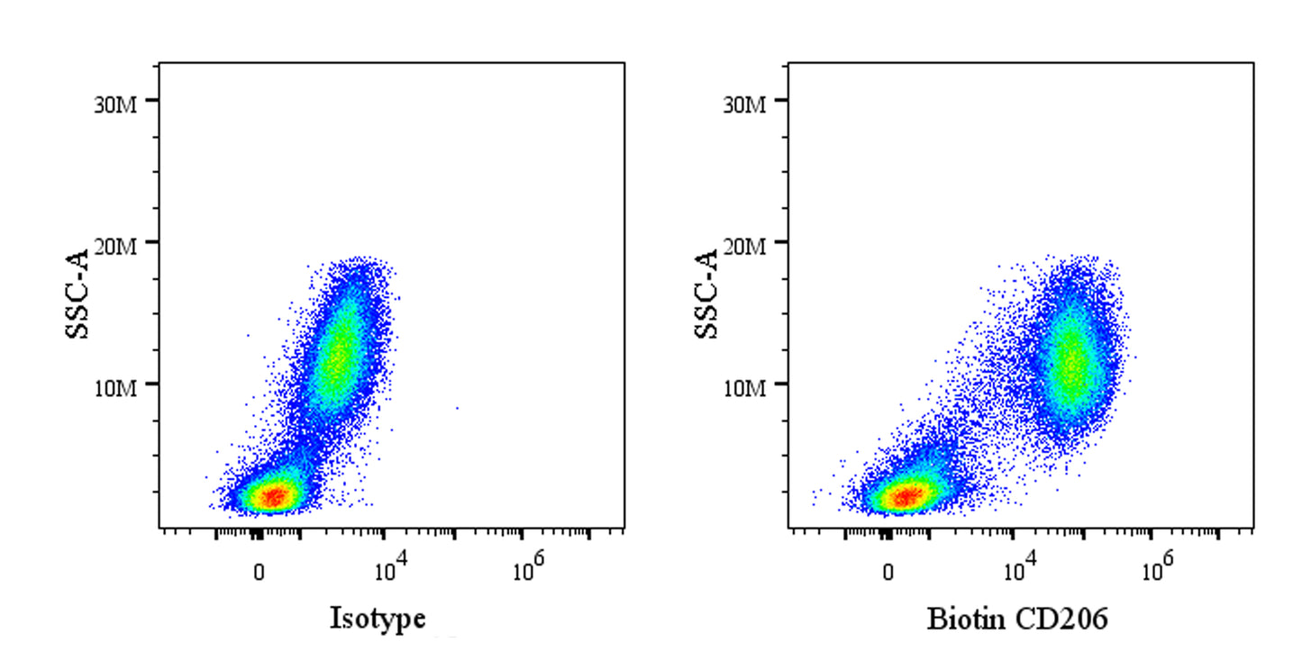 Biotin Mouse Anti-Human CD206 Antibody (15-2)