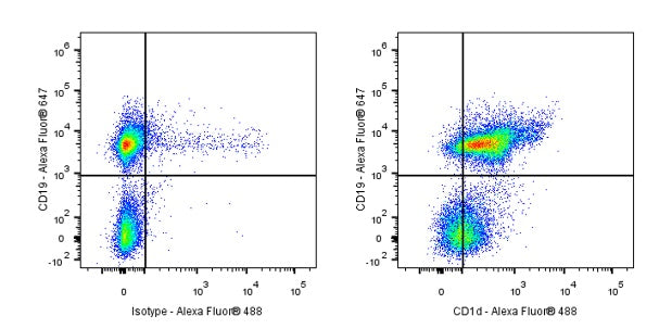 Alexa Fluor® 488 Rat Anti-Mouse CD1d Antibody (1B1)