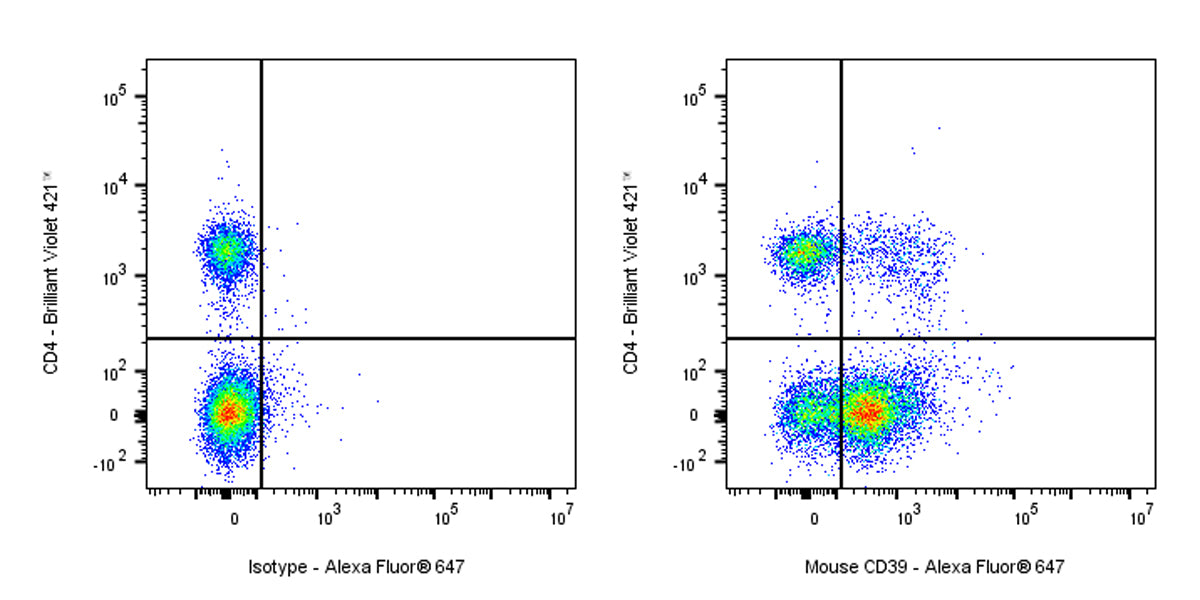 Rat Anti-Mouse CD39 Antibody (S-R641)