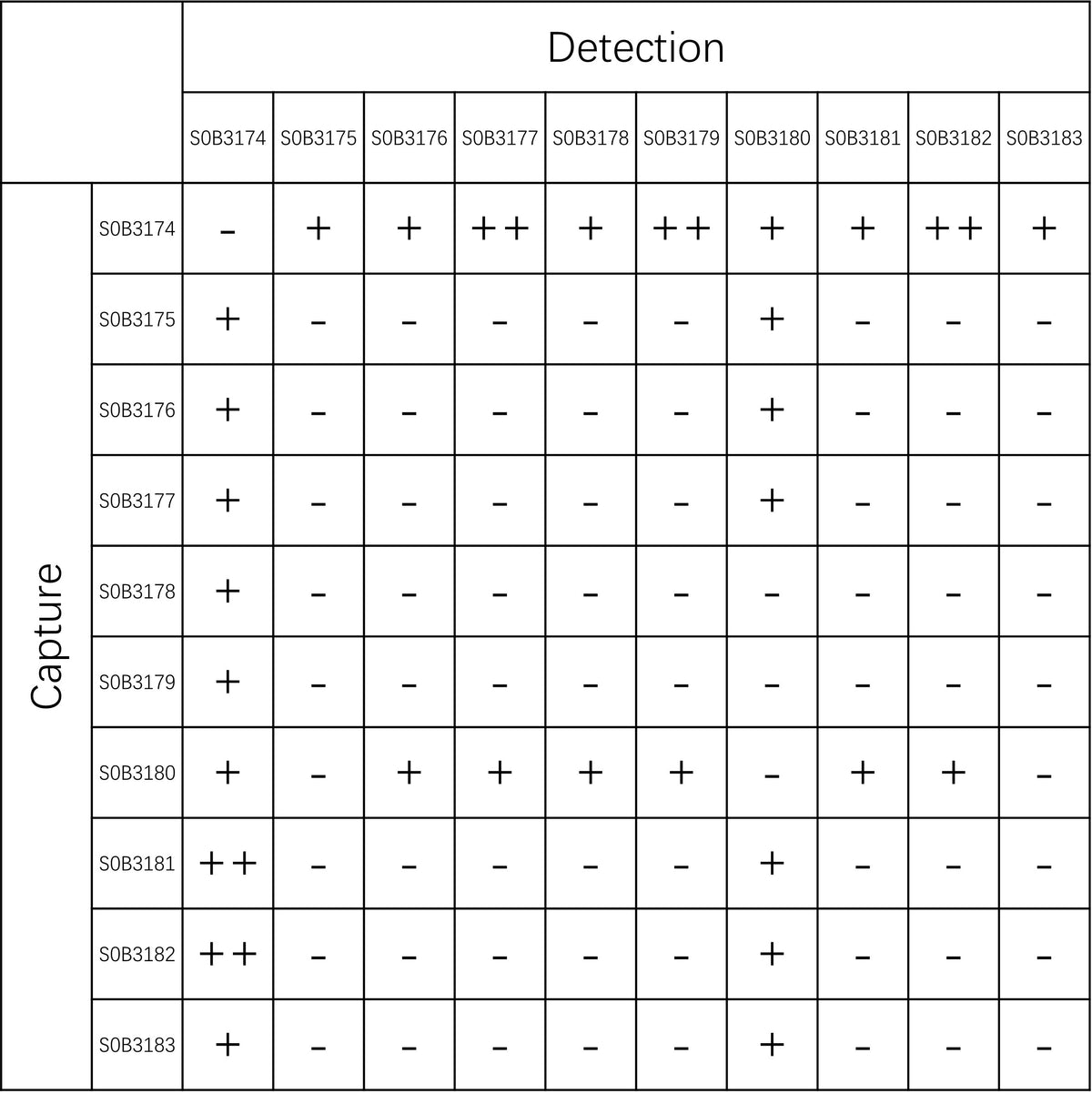 HBP Recombinant Rabbit mAb (SDT-506-82)