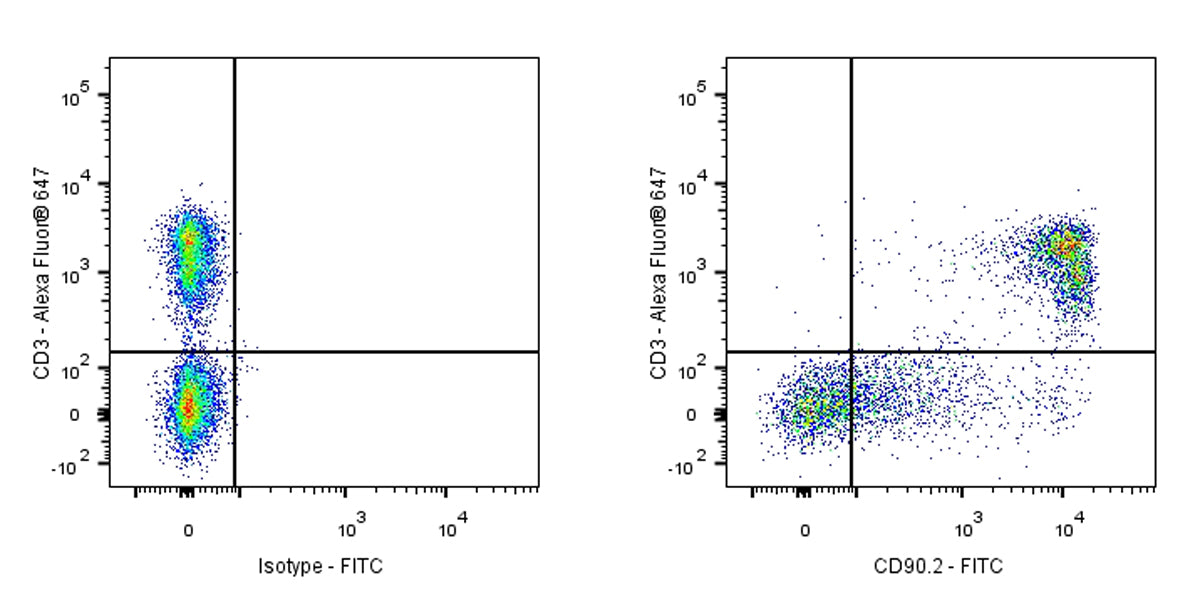 FITC Rat Anti-Mouse CD90.2 (Thy-1.2) Antibody (53-2.1)