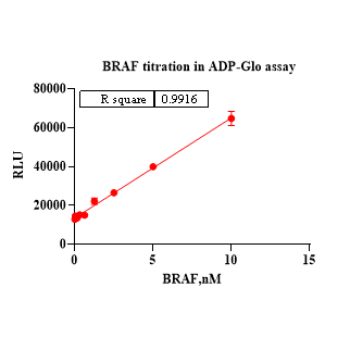 Product image media