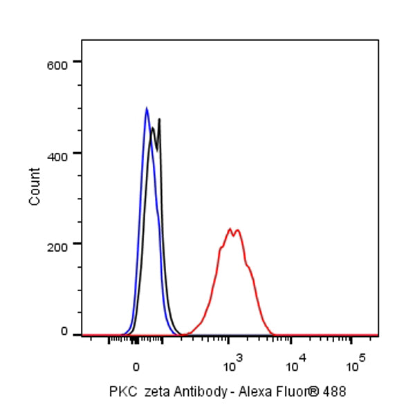 PKC zeta Recombinant Rabbit mAb (S-1306-34)