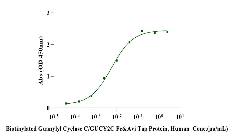 Biotinylated Guanylyl Cyclase C/GUCY2C Fc&Avi Tag Protein, Human