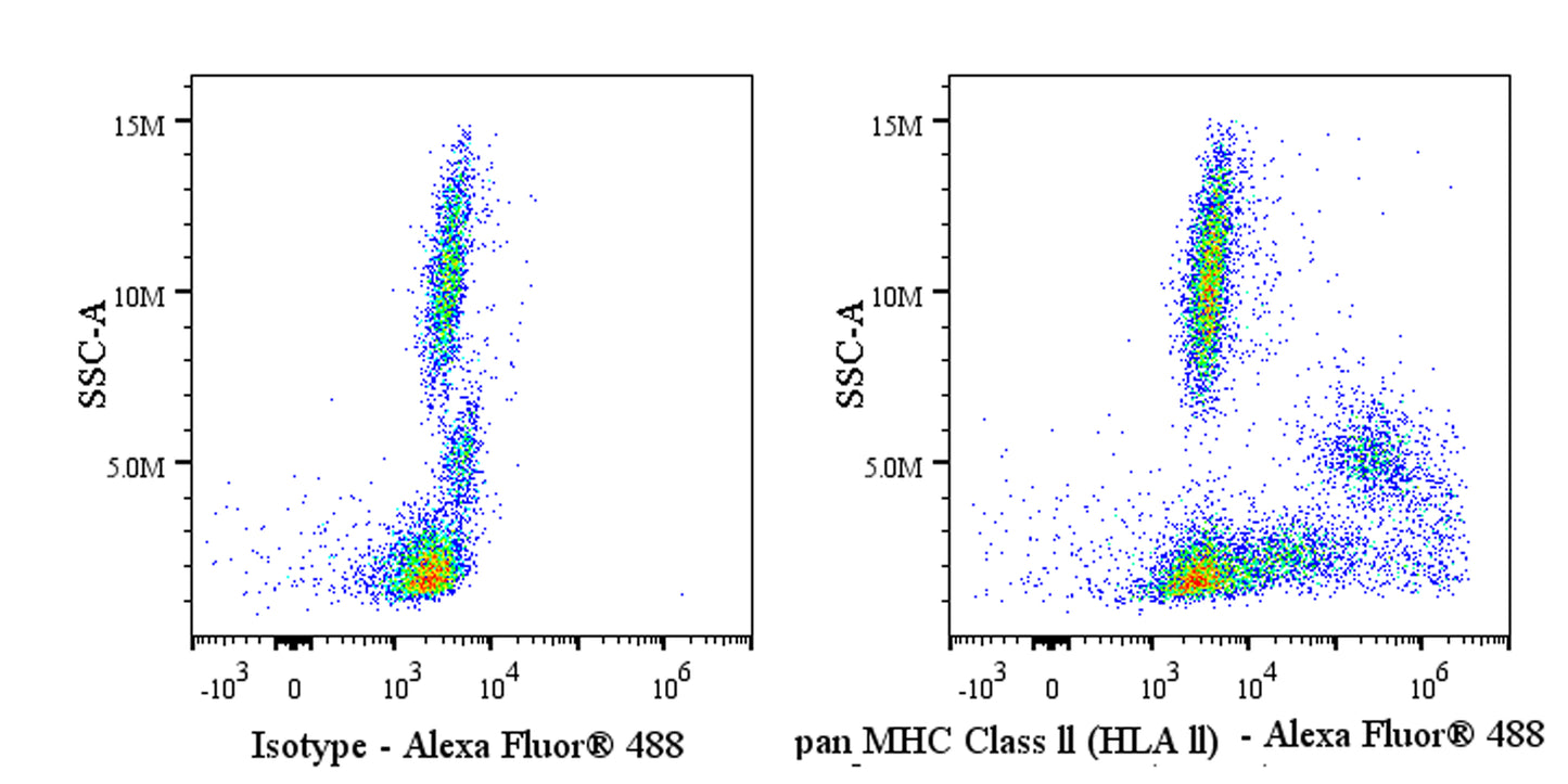Invivo Anti-Human pan MHC Class II (HLA II) Recombinant mAb
