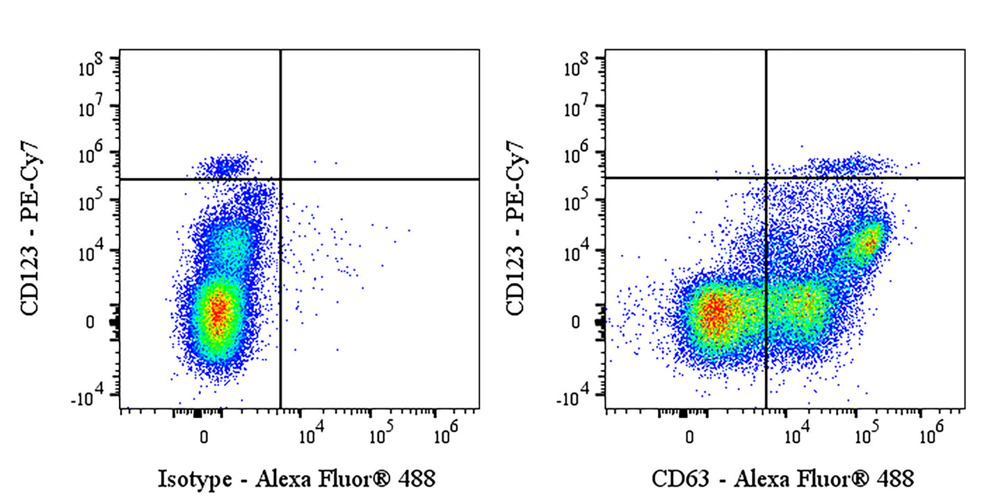 Mouse Anti-Human CD63 Antibody (H5C6)