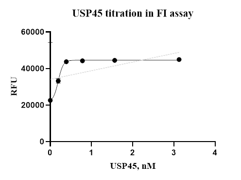 USP45 Protein