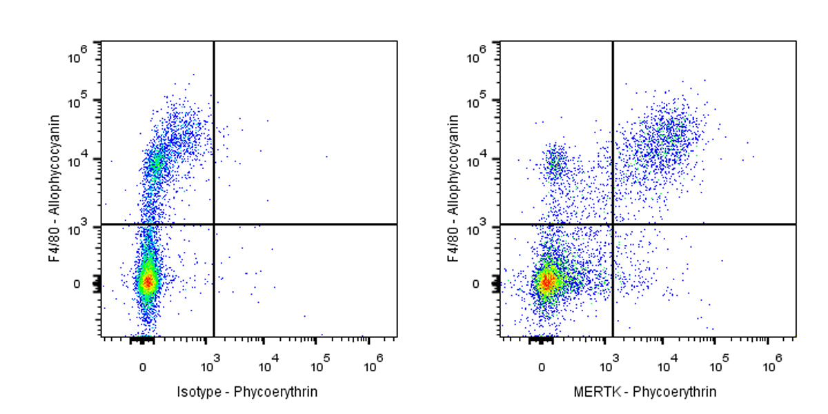 PE Rat Anti-Mouse MERTK Antibody (S-R603)