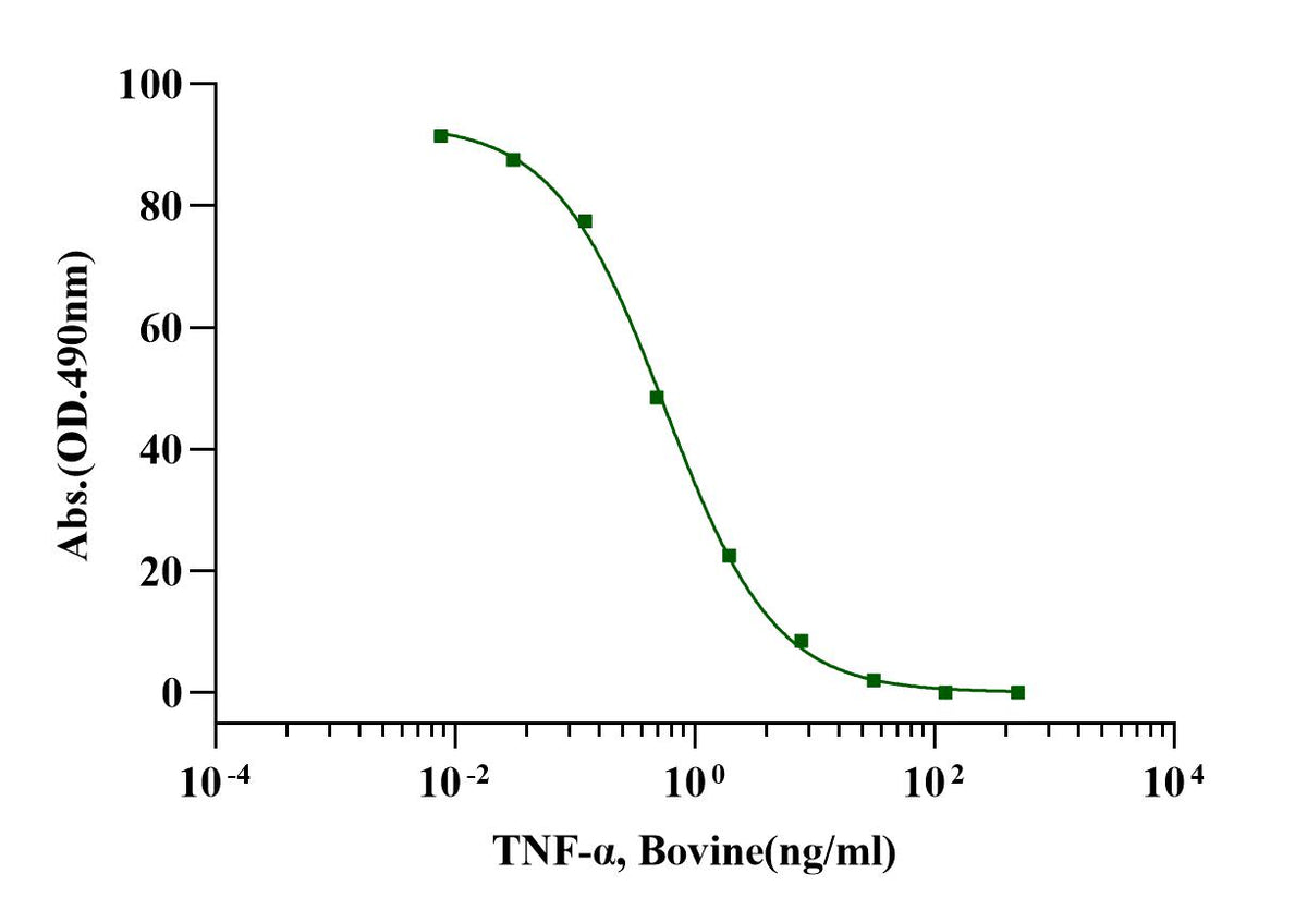 TNF-α Protein, Bovine
