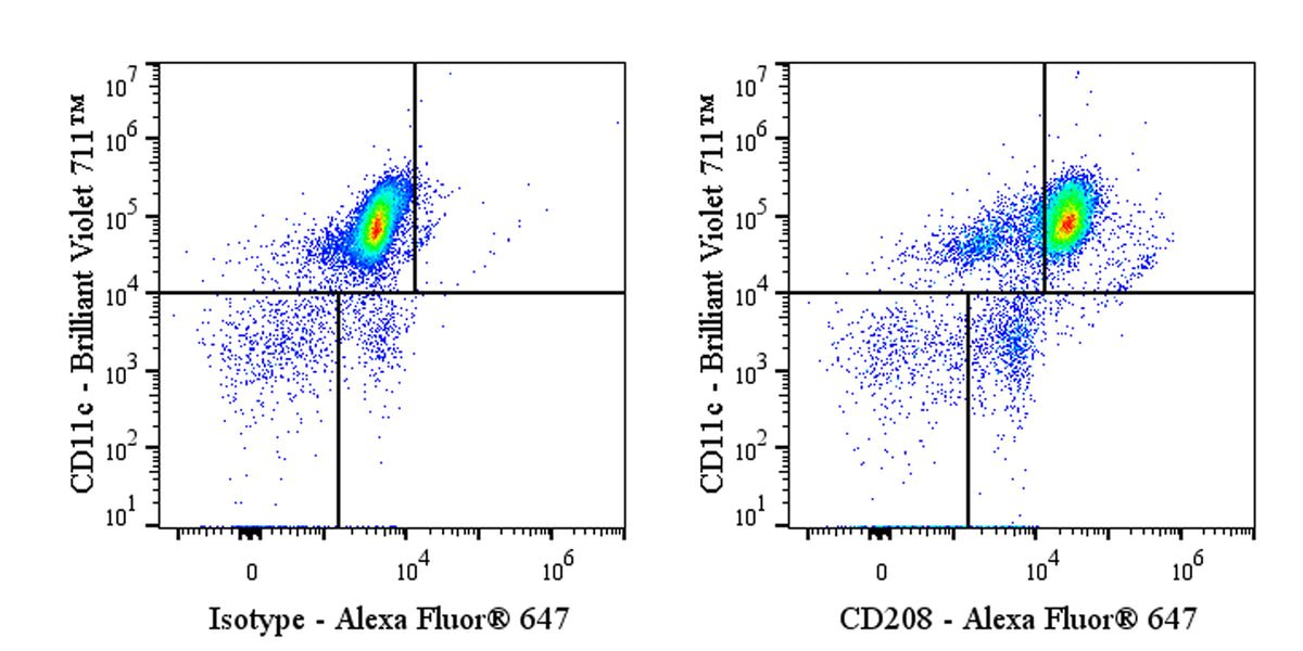 Mouse Anti-Human CD208 Antibody (S-4330)