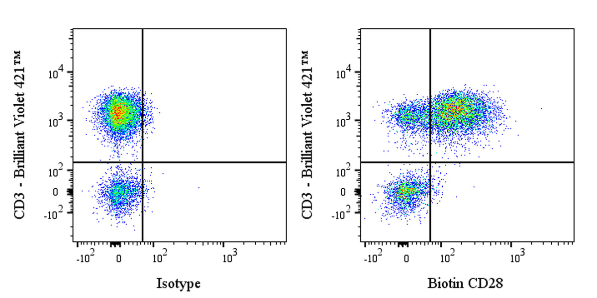 Biotin Mouse Anti-Human CD28 Antibody (15E8)