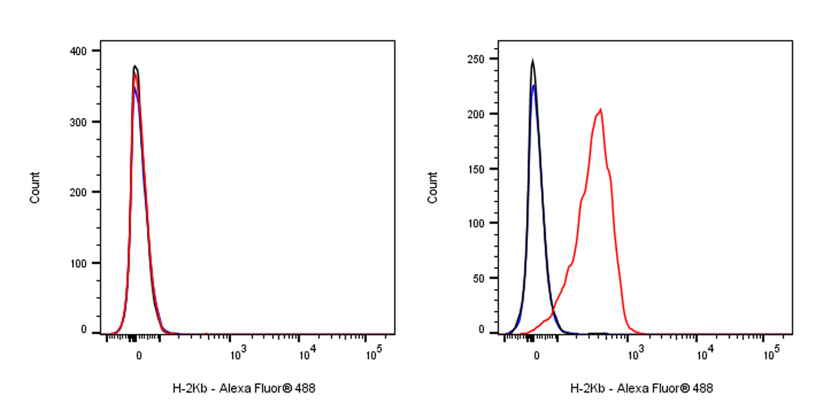 Mouse Anti-Mouse H-2Kb Antibody (AF6-88.5)