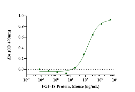FGF-18 Protein, Mouse