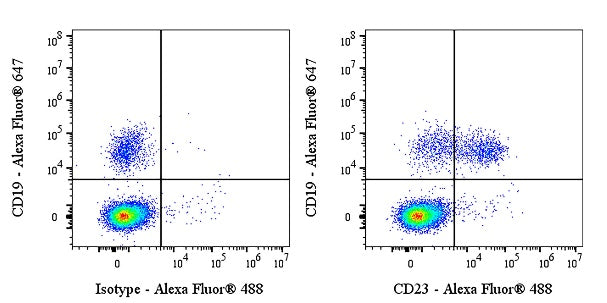 Mouse Anti-Human CD23 Antibody (EBVCS-5)
