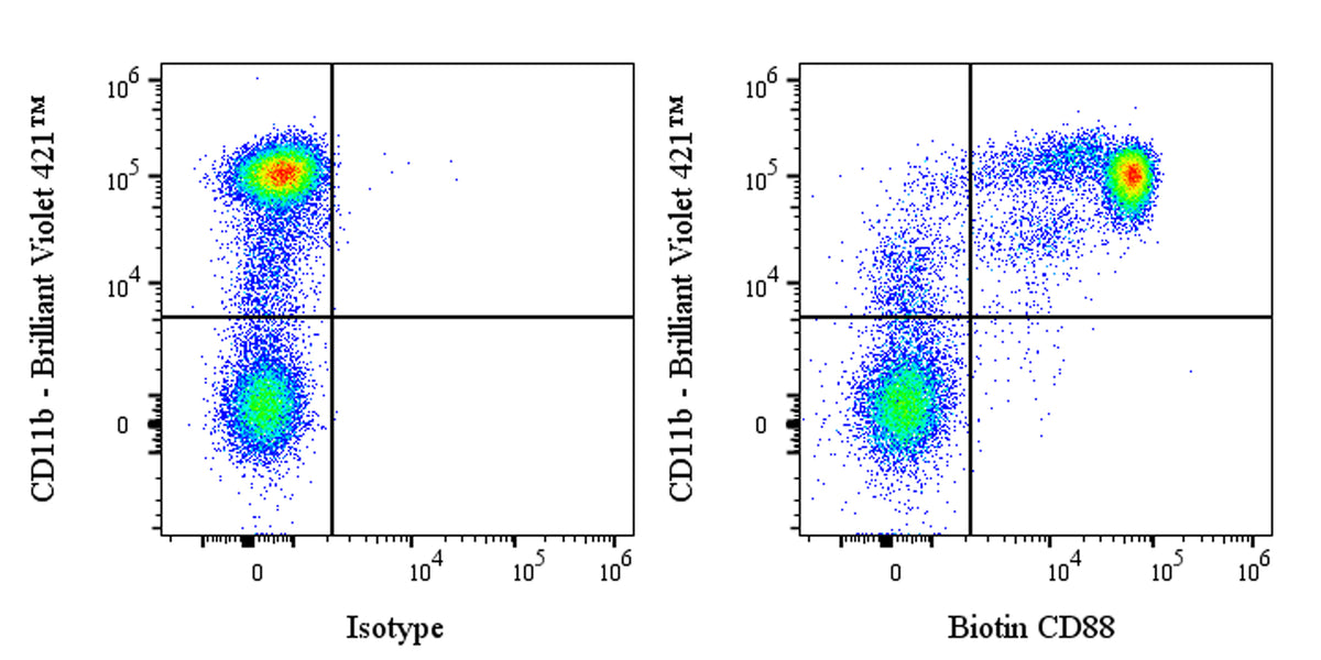 Biotin Rabbit Anti-Human CD88 Antibody (S-1921-43)