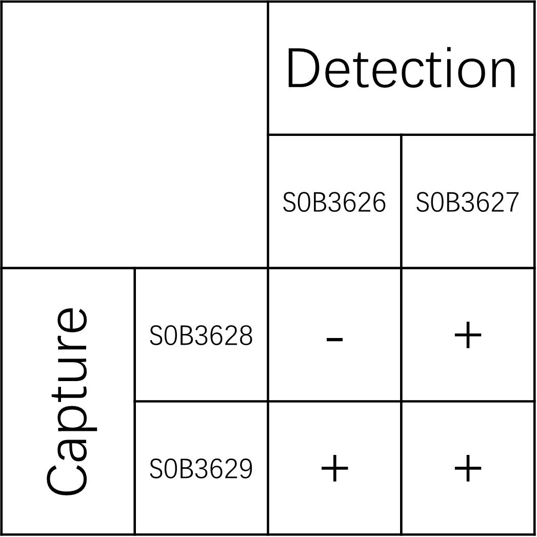 Osteopontin Recombinant Rabbit mAb (SDT-1005-354)