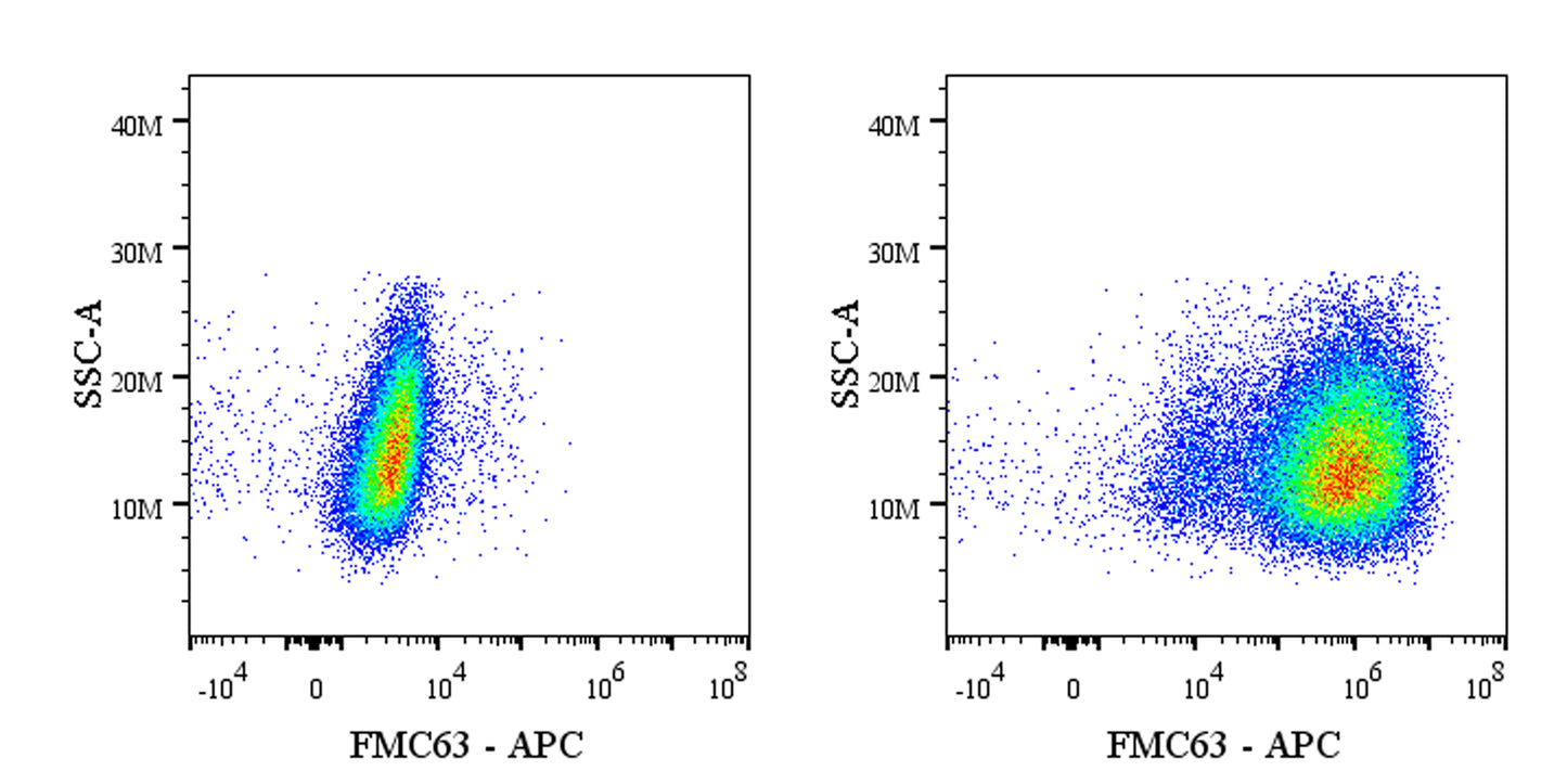 Anti-FMC63 Recombinant Mouse mAb (APC Conjugate) (S-5031)
