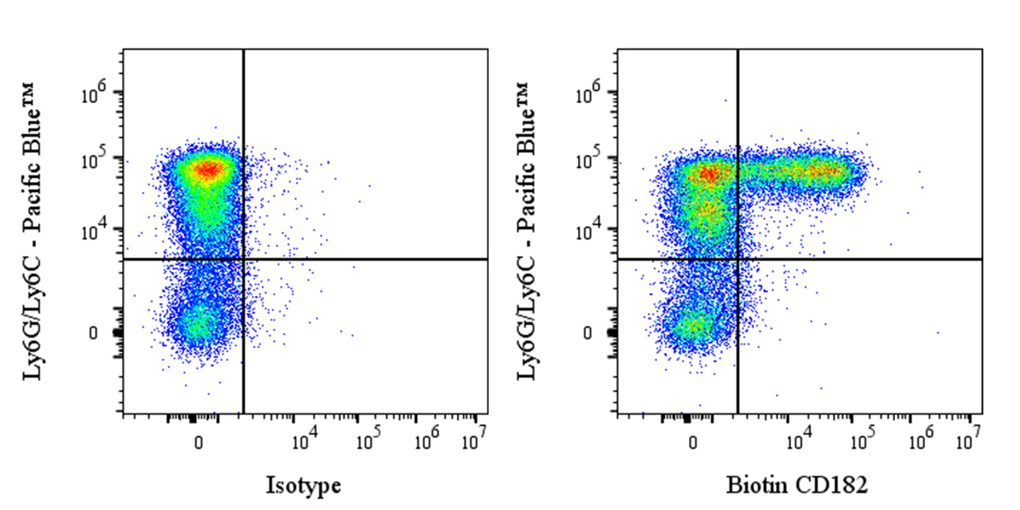 Biotin Rat Anti-Mouse CD182 Antibody (S-R718)