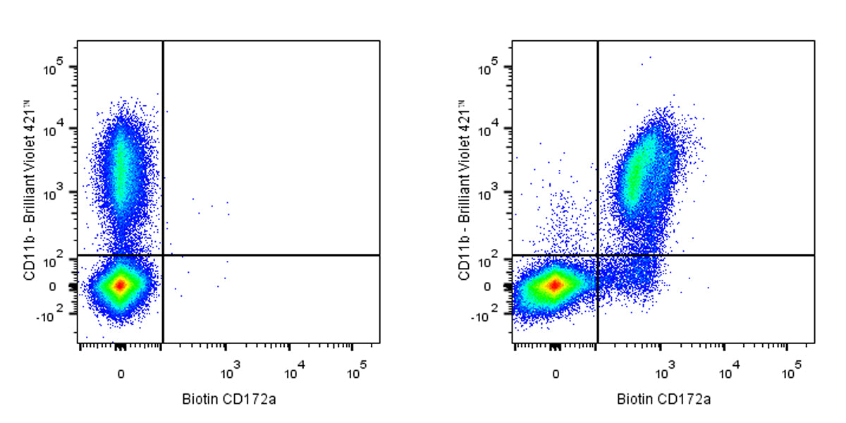 Biotin Rat Anti-Mouse CD172a (SIRPα) Antibody (S-R713)