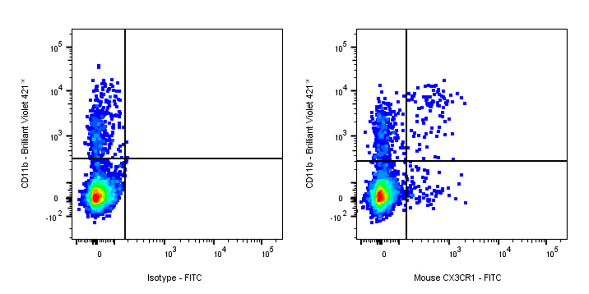 FITC Mouse Anti-Mouse CX3CR1 Antibody (S-R597)