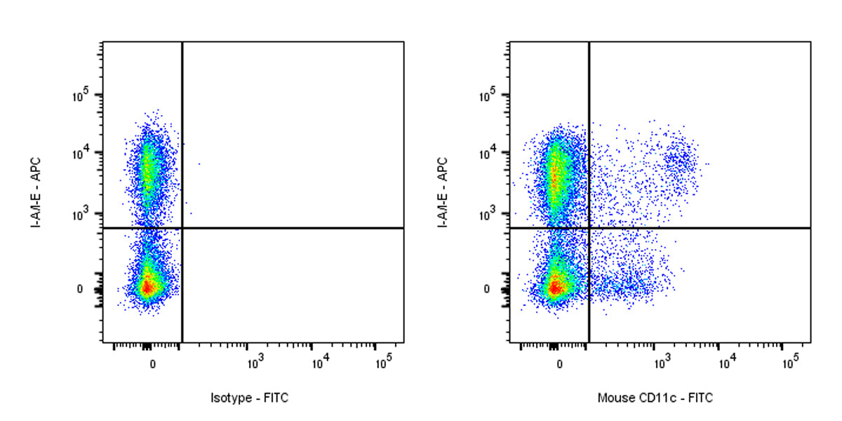 FITC Armenian Hamster Anti-Mouse CD11c Antibody (N418)