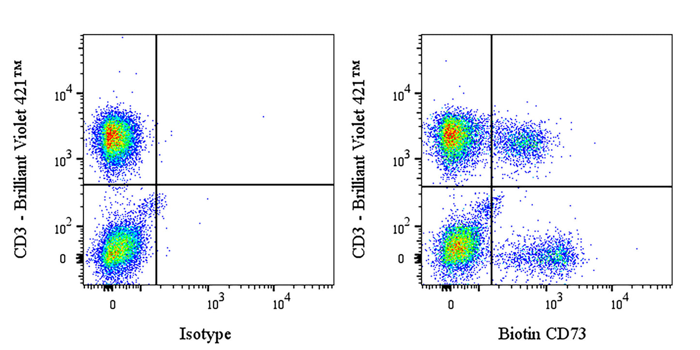 Biotin Mouse Anti-Human CD73 Antibody (AD2)