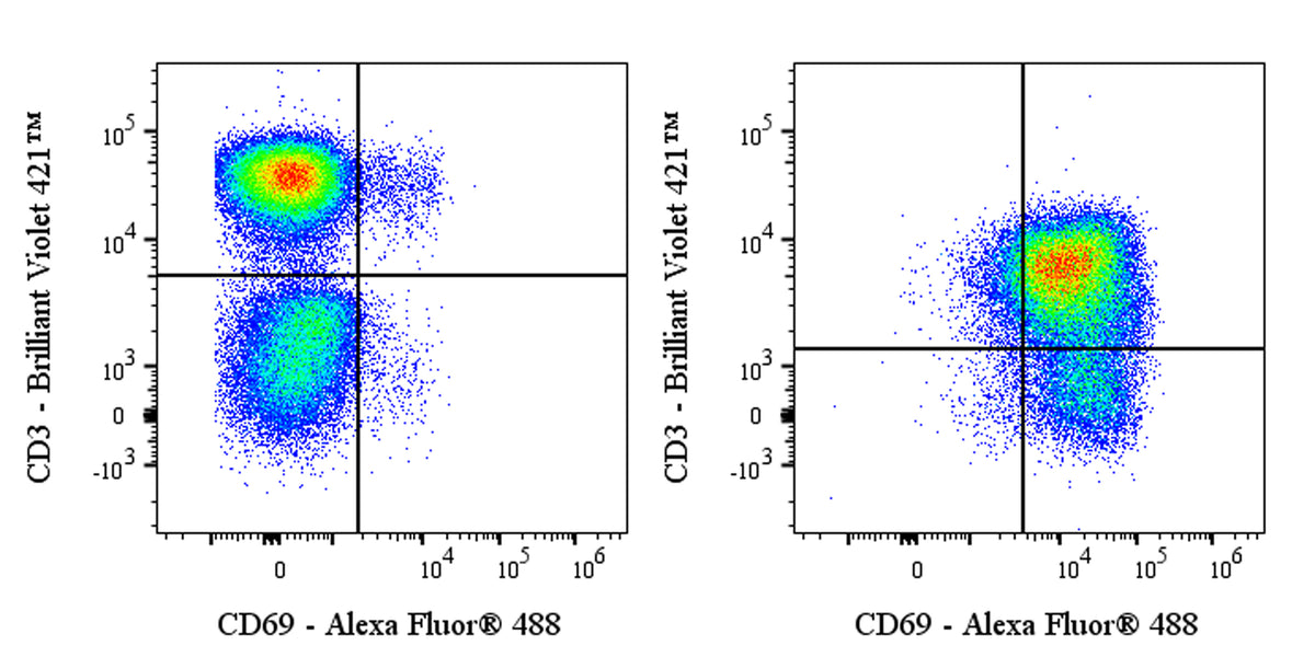 Alexa Fluor® 488 Rabbit Anti-Human CD69 Antibody (S-1924-5)