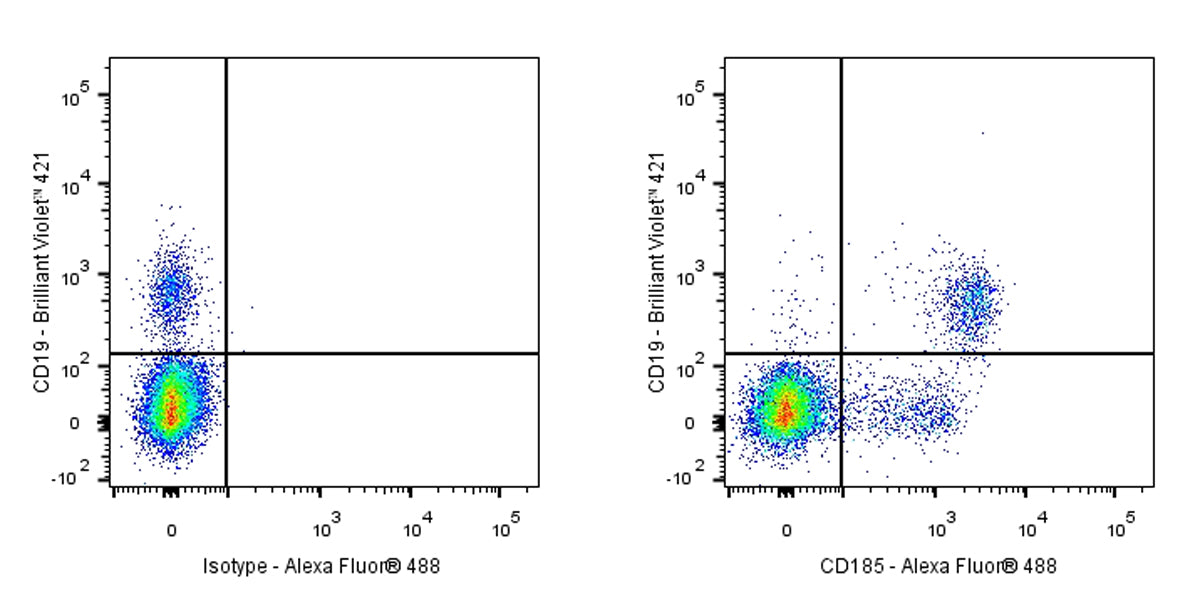 Alexa Fluor® 647 Mouse Anti-Human CD185 Antibody (S-R653)