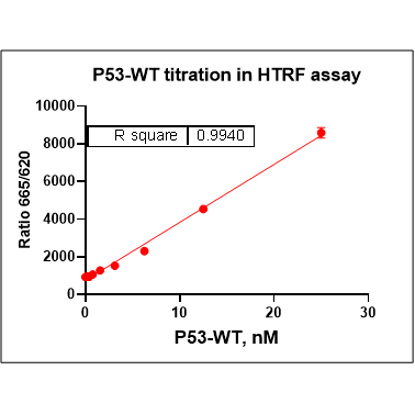 Product image media