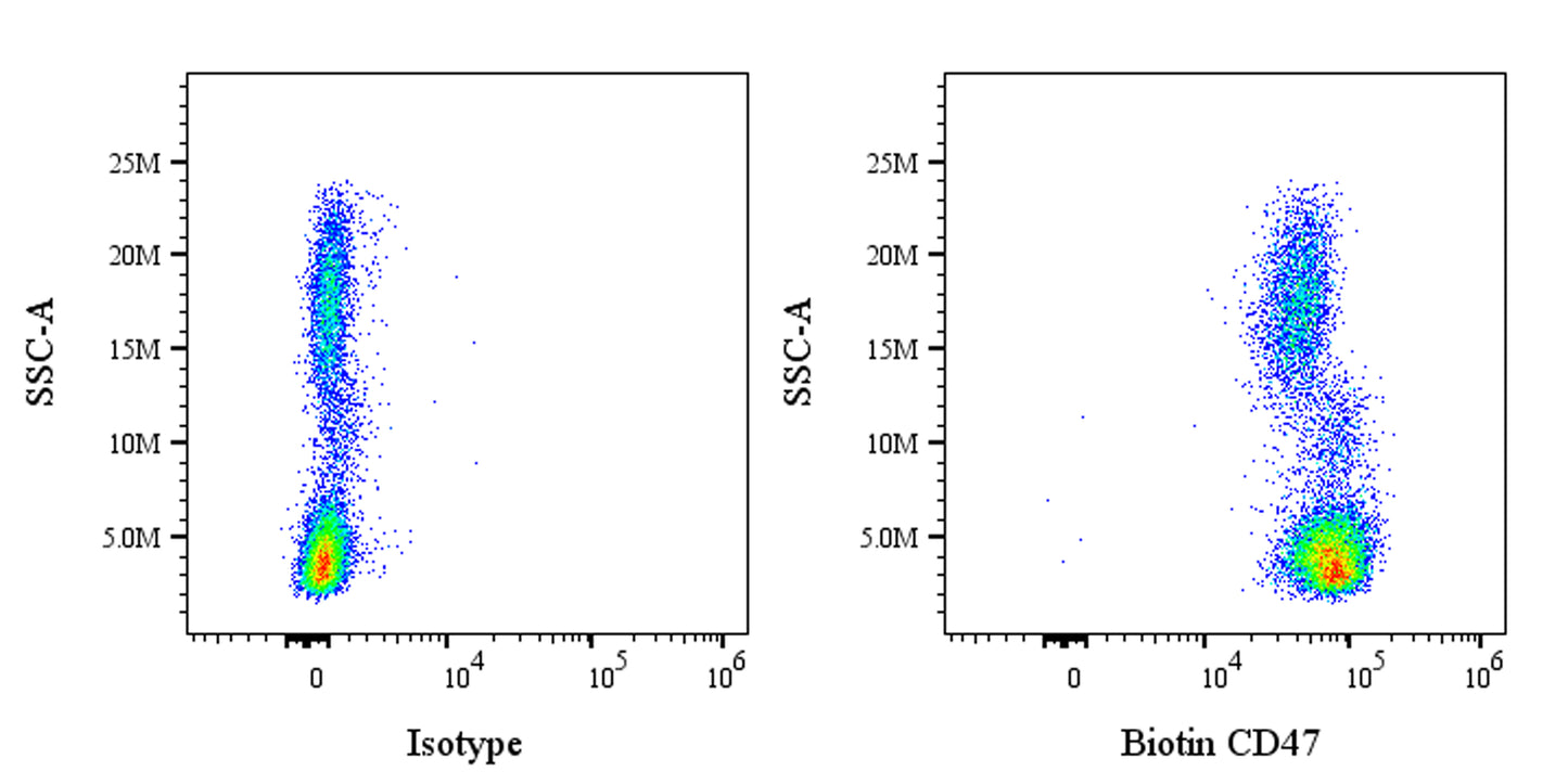 Biotin Mouse Anti-Human CD47 Antibody (B6H12)