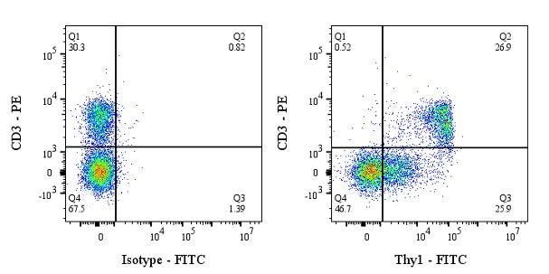 FITC Rat Anti-Mouse Thy1 (CD90) Antibody (S-4038)