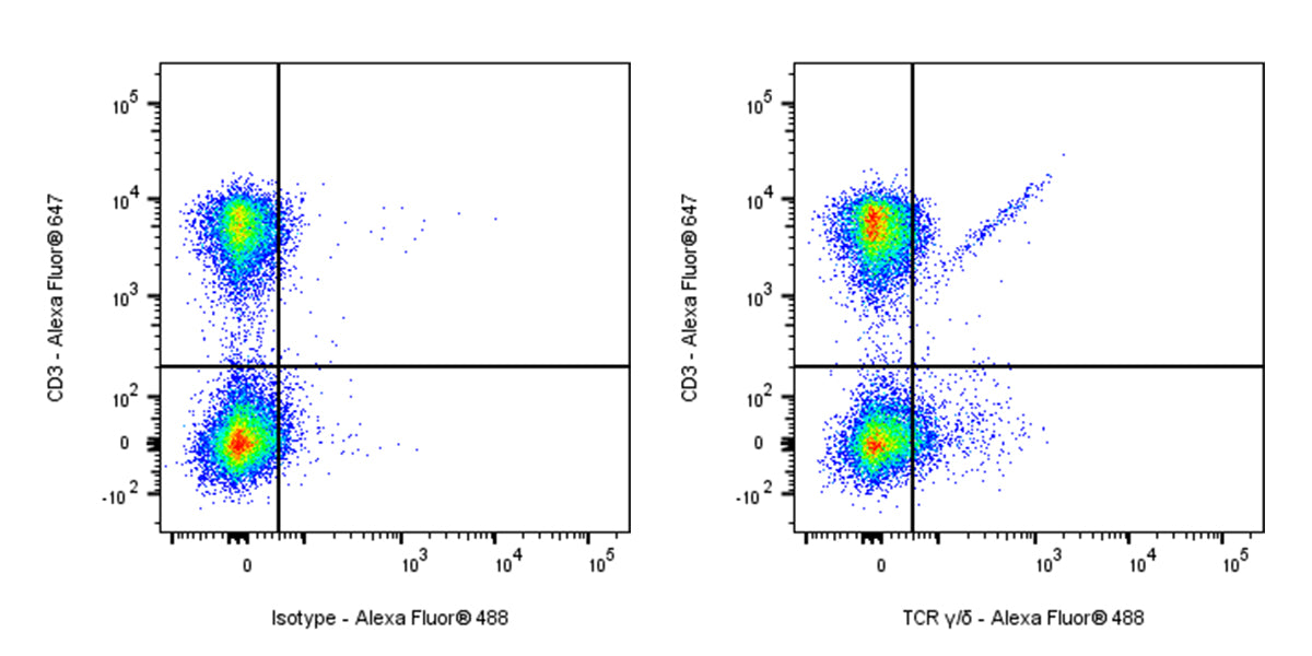 Alexa Fluor® 488 Armenian hamster Anti-Mouse TCR γ/δ Antibody (S-R525)