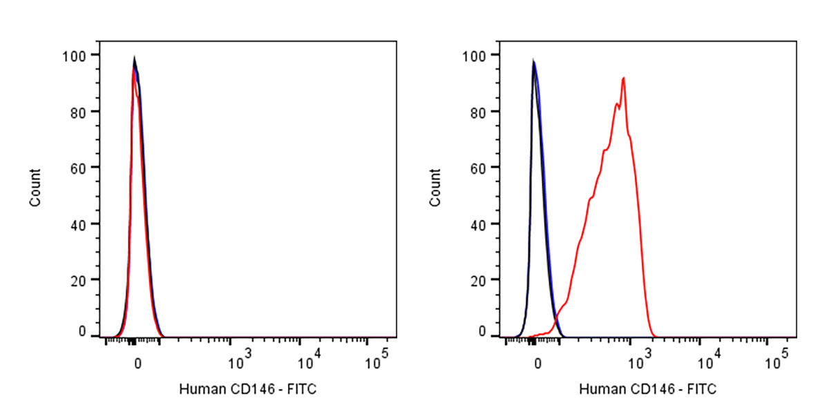 FITC Mouse Anti-Human CD146 Antibody (S-3679)
