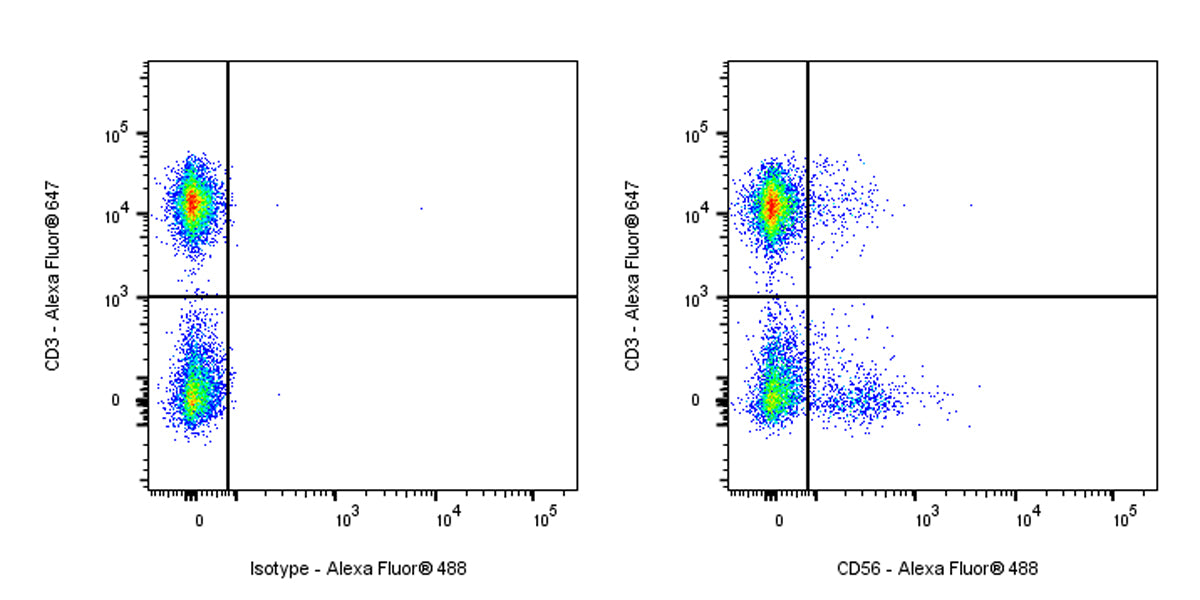 Alexa Fluor® 488 Mouse Anti-Human CD56 Antibody (S-3499)