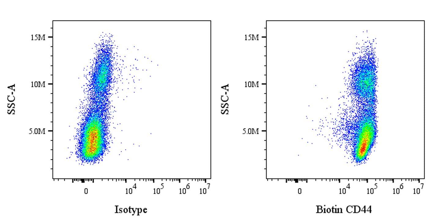 Biotin Rat Anti-Mouse/Human CD44 Antibody (IM7)