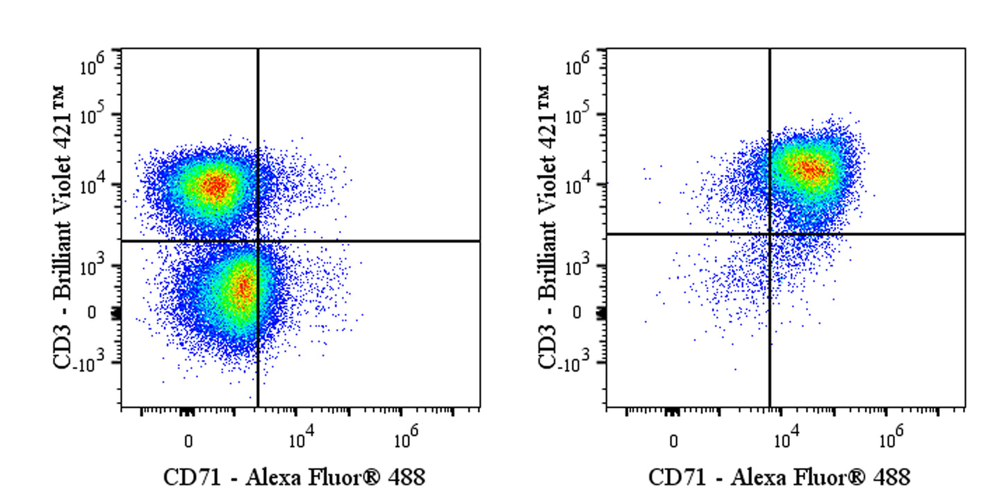 Alexa Fluor® 488 Mouse Anti-Human CD71 Antibody (OKT-9)