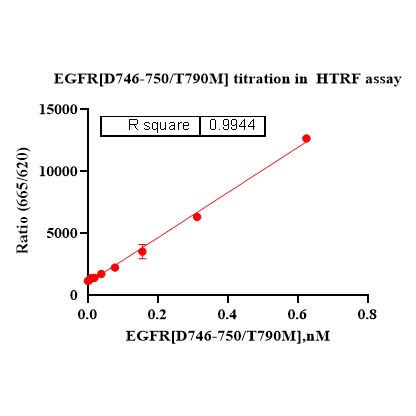 Product image media
