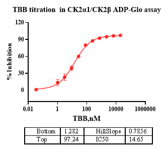CK2α1/CK2β Protein