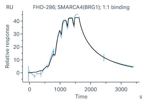 Biotin-SMARCA4 Protein, Human