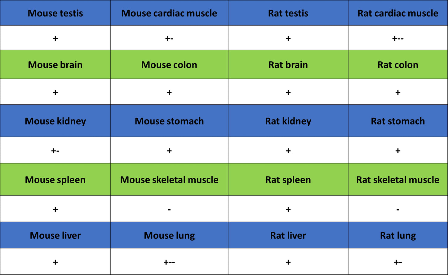 DGCR8 Recombinant Rabbit mAb (S-4082-6)