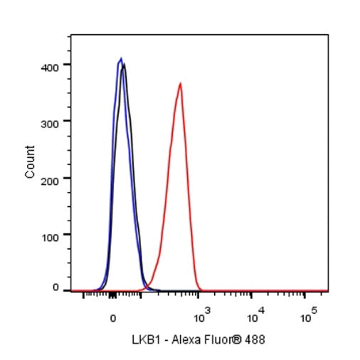 LKB1 Recombinant Rabbit mAb (S-1264-31)