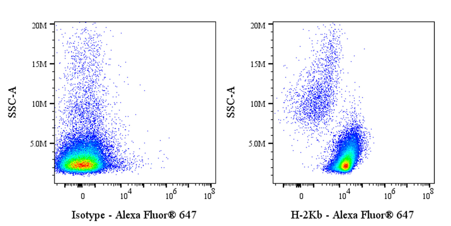 Alexa Fluor® 647 Mouse Anti-Mouse H-2Kb Antibody (AF6-88.5)