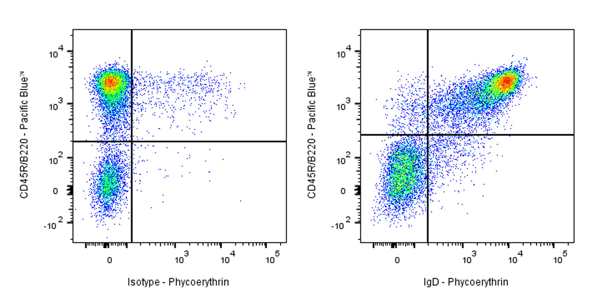 PE Rat Anti-Mouse IgD Antibody (S-R622)